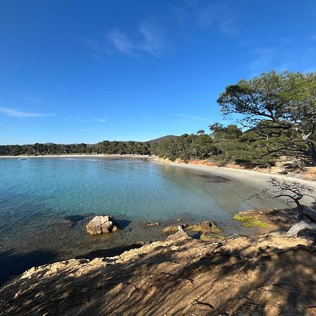 Appartement Plage Piscine Et Tennis Inclus La Londe-les-Maures Eksteriør bilde