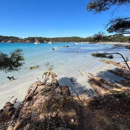 Appartement Plage Piscine Et Tennis Inclus La Londe-les-Maures Eksteriør bilde