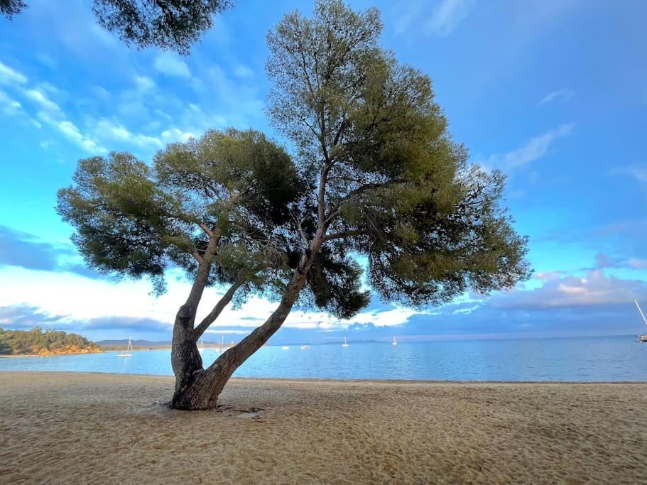Appartement Plage Piscine Et Tennis Inclus La Londe-les-Maures Eksteriør bilde