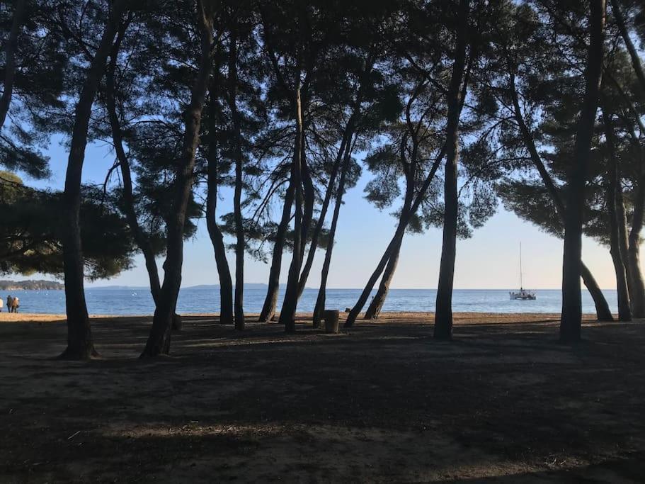 Appartement Plage Piscine Et Tennis Inclus La Londe-les-Maures Eksteriør bilde