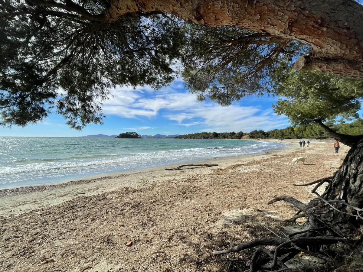 Appartement Plage Piscine Et Tennis Inclus La Londe-les-Maures Eksteriør bilde