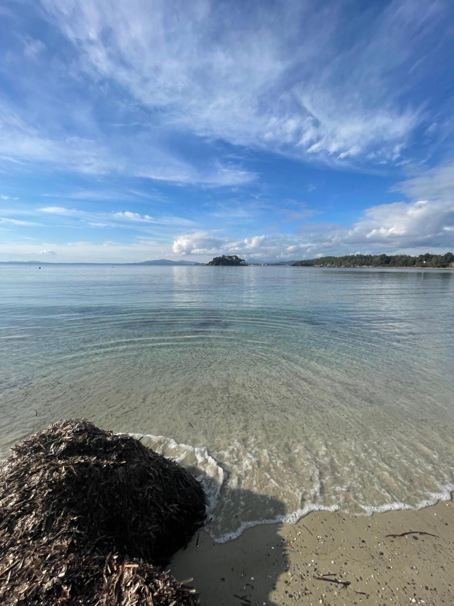 Appartement Plage Piscine Et Tennis Inclus La Londe-les-Maures Eksteriør bilde