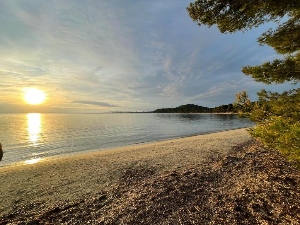 Appartement Plage Piscine Et Tennis Inclus La Londe-les-Maures Eksteriør bilde