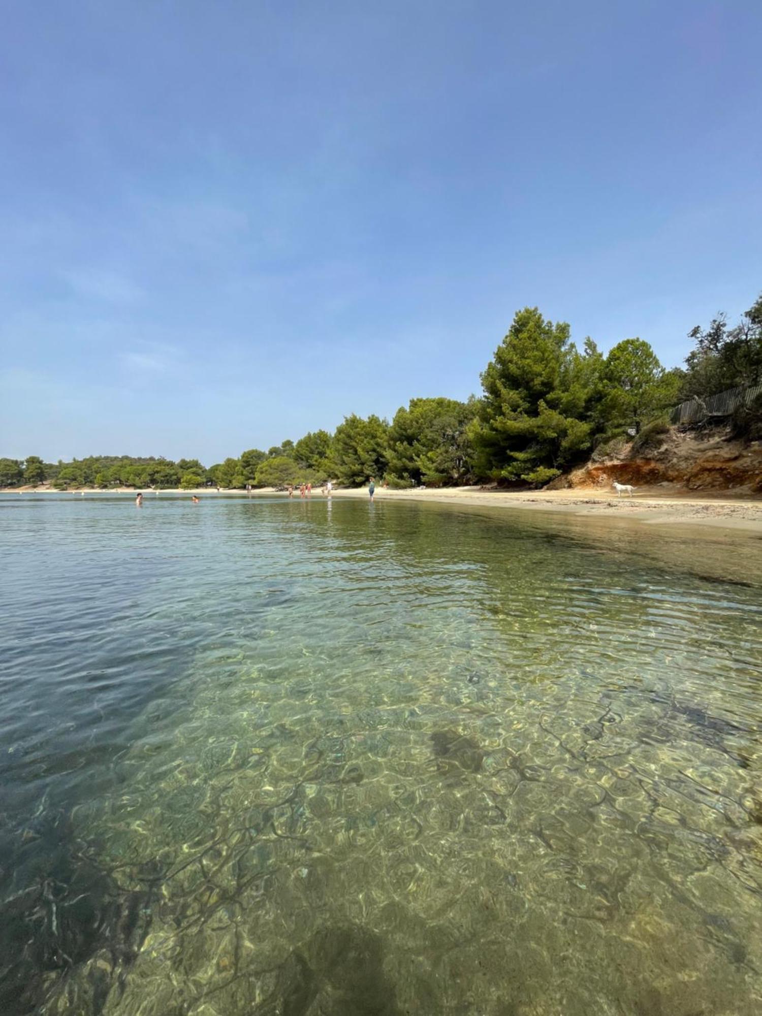 Appartement Plage Piscine Et Tennis Inclus La Londe-les-Maures Eksteriør bilde