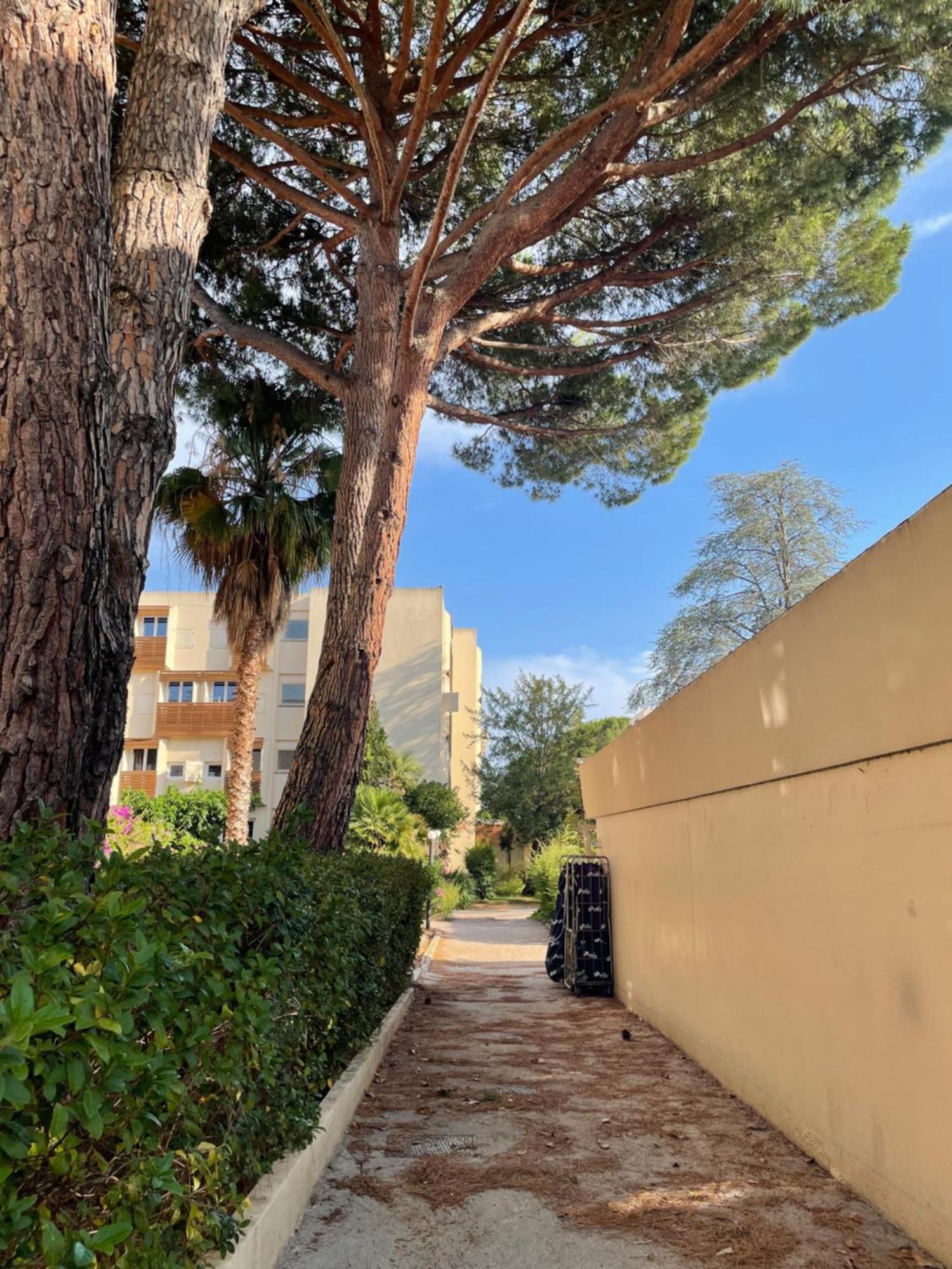 Appartement Plage Piscine Et Tennis Inclus La Londe-les-Maures Eksteriør bilde