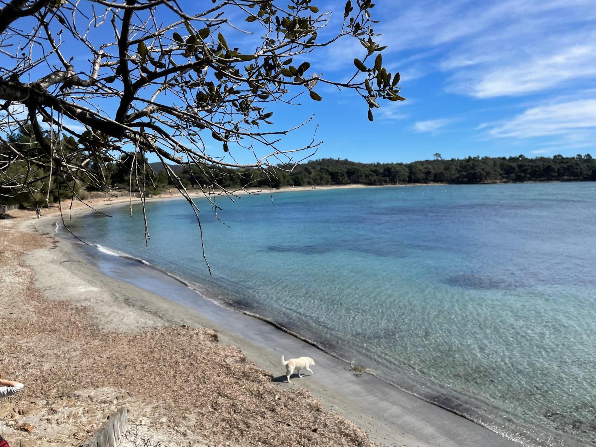 Appartement Plage Piscine Et Tennis Inclus La Londe-les-Maures Eksteriør bilde